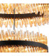 Lysander 5 Tier 25cm + 40cm + 60cm + 80cm + 1m Pendant Light G9 Satin Black/Amber Item Weight: 86kg-8
