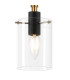 Eden 10cm 1.5m Single Pendant 10x13.5cm Cylinder Glass 1 Light E14 IP44 Black/Brass Gold/Clear-7