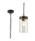 Preston Single Pendant 1 Light E27 Brown Oxide/Gold Bronze Clear Glass Shade-1