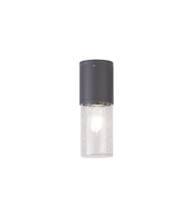 Kirkwood 9cm 22cm Ceiling/Post Lamp 1 x E27 IP54 Anthracite/Crackled Clear -1