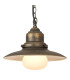 Easton 32cm Pendant 1 x E27 IP44 Black/Brushed Gold/Opal -9
