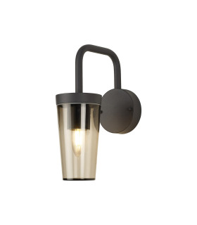 Dayton Wall Lamp 1 x E27 Anthracite/Smoked IP54 -1