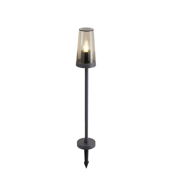 Dayton Post Lamp 1 x E27 Anthracite/Smoked IP54 -1