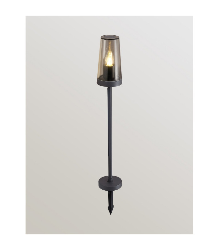 Dayton Post Lamp 1 x E27 Anthracite/Smoked IP54 -3