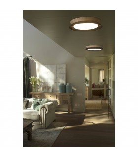 Led Flush Ceiling Lamp Black 24W 3000K - 2