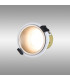 Montauk 5/8W Triac Dimmable 4CCT LED Fire Rated Downlight Satin Nickel Inner & White Trim