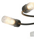 Lancaster 50.5cm Flush Ceiling 5 Light G9 IP44 Satin Black/Clear Glass-6
