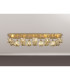 Keene Rectangle 14 Light G9 Flush Light French Gold / Clear Crystal Shade Item Weight: 18.1kg-3