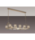Keene 10 Light Rectangle G9 Telescopic Light French Gold / Clear Crystal Shade-3