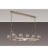 Keene 10 Light Rectangle G9 Telescopic Light French Gold / Clear Crystal Shade-10