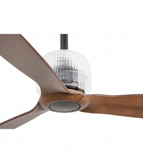 Accessories Crystal Just Fan - 2
