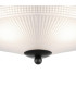 DeRuyter 34cm 2 Light E27 Flush Ceiling Light Satin Black/Frosted Glass-8