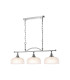 DeRuyter Semi Flush/Pendant Bar 3 Light Adjustable E27 Polished Nickel/Frosted Glass-5