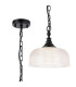 DeRuyter 27cm Flush/Single Pendant 1 Light Adjustable E27 Satin Black/Clear Glass-1
