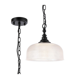 DeRuyter 27cm Flush/Single Pendant 1 Light Adjustable E27 Satin Black/Clear Glass-1