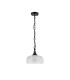 DeRuyter 27cm Flush/Single Pendant 1 Light Adjustable E27 Satin Black/Clear Glass-5