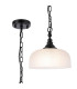 DeRuyter 27cm Flush/Single Pendant 1 Light Adjustable E27 Satin Black/Frosted Glass-1