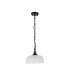 DeRuyter 27cm Flush/Single Pendant 1 Light Adjustable E27 Satin Black/Frosted Glass-5