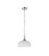 DeRuyter 27cm Flush/Single Pendant 1 Light Adjustable E27 Satin Nickel/Clear Glass-4