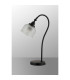 DeRuyter Table Lamp 1 Light E27 Satin Black/Clear Glass-7