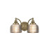 DeRuyter Switched Double Wall Light 2 Light E27 Antique Brass/Smoke Glass-1