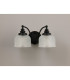 DeRuyter Switched Double Wall Light 2 Light E27 Satin Black/Clear Glass-8