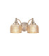 DeRuyter Switched Double Wall Light 2 Light E27 Satin Nickel/Amber Glass-1