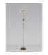 Harpersville 2 Light Floor Lamp 20+5W LED 3000-6000K Touch Dimmable/Remote Control 2300lm Painted Satin Gold -3
