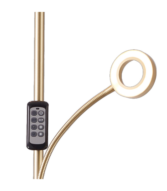 Harpersville 2 Light Floor Lamp 20+5W LED 3000-6000K Touch Dimmable/Remote Control 2300lm Painted Satin Gold -8