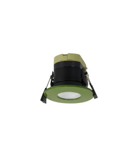 Canajoharie 8W Dimmable CCT LED Fire Rated Downlight Moss Green Fascia IP65 DRIVER INC.-1