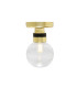 Ayr Outdoor Globe Ceiling Light Polished Brass Clear IP65-2