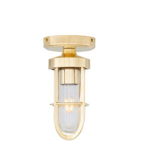 Oregon-A Outdoor Cage Well Glass Light Natural Brass Clear Glass IP65