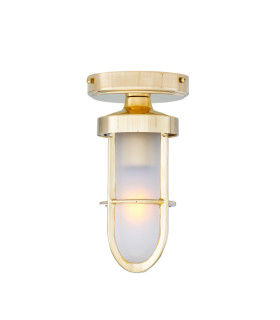 Oregon-A Outdoor Cage Well Glass Light Natural Brass Frosted Glass IP65