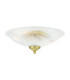 Nicosa Shallow Halophane Light Satin Brass-2