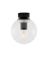 Venice Globe Ceiling Light Matt Black Clear