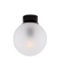 Venice Globe Ceiling Light Matt Black Frosted-2