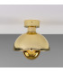 Maua 20cm Ceiling Light Polished Brass-1