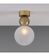 Helena Globe Ceiling Light Satin Brass Frosted-3