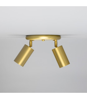 Evanston Two Light Spotlight Satin Brass-1