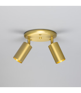 Evanston Two Light Spotlight Satin Brass-2