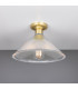 Hanoi Holophane Flush Ceiling Fitting Satin Brass-1