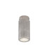 Quin Ceiling Light Antique Silver-2