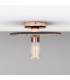 Bog Oak Ceiling Light Black Clay Polished Copper-1