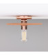 Bog Oak Ceiling Light Red Iron Polished Copper-2