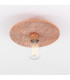 Bog Oak Ceiling Light Red Iron Polished Copper-3