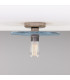 Bog Oak Ceiling Light Blue Earth Antique Silver-1