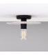 Bog Oak Ceiling Light Marbled Matte Black-1