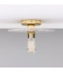 Bog Oak Ceiling Light Marbled Polished Brass-1