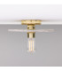 Bog Oak Ceiling Light Marbled Polished Brass-2