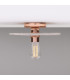 Bog Oak Ceiling Light Marbled Polished Copper-2